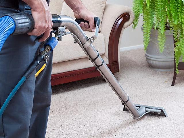 Carpet Cleaning Services in Prince George