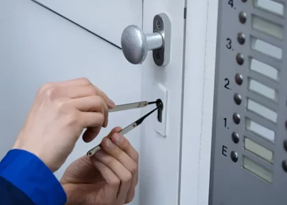 Expert Doing New Lock Installation